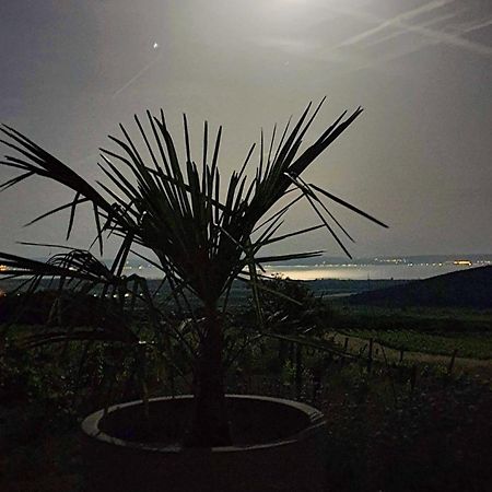 Dörgicse Panorama, Balatonヴィラ エクステリア 写真