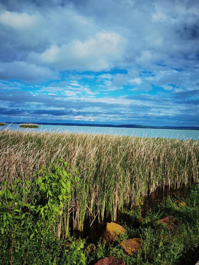 Dörgicse Panorama, Balatonヴィラ エクステリア 写真