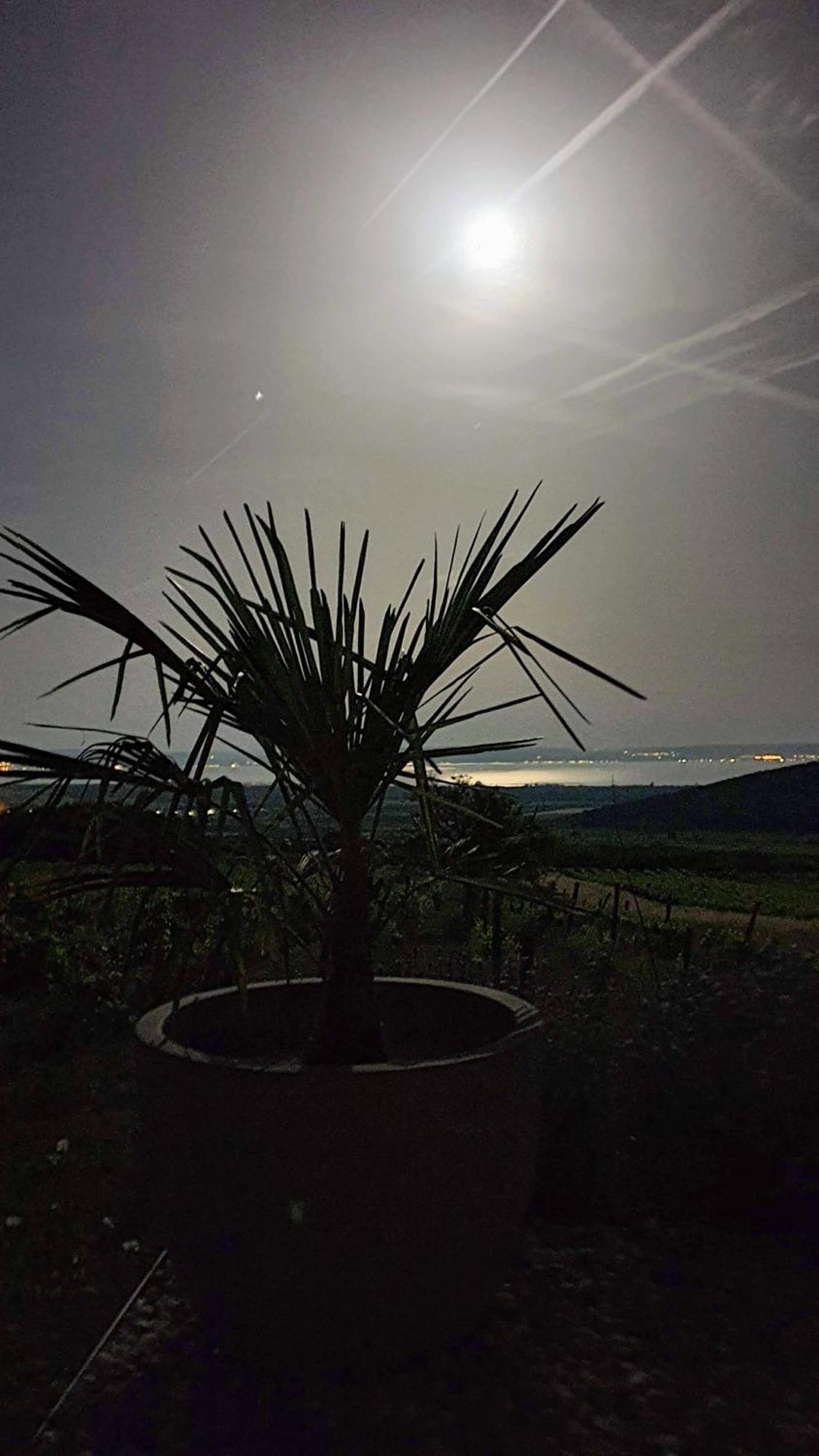 Dörgicse Panorama, Balatonヴィラ エクステリア 写真